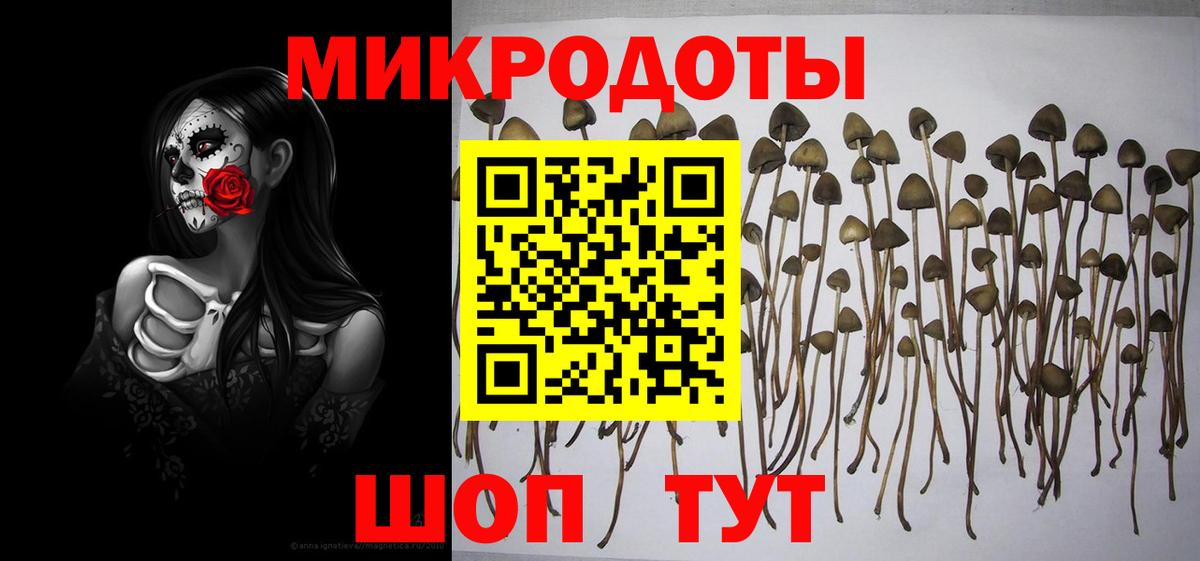 Галлюциногенные грибы Magic Shrooms  Вход с VPN  наркошоп  Химки 